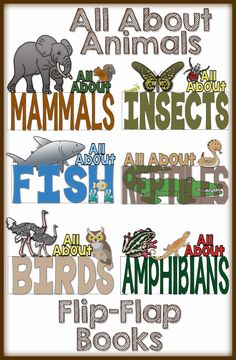 all about animals and their names are in this poster with the words fish, birds, amphibans, flip flop books