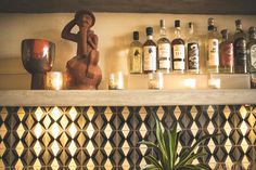 a shelf filled with bottles and candles next to a potted plant on top of a counter