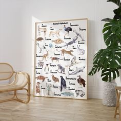 an animal alphabet poster hangs on the wall next to a chair and potted plant