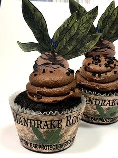 two cupcakes with chocolate frosting and green leaves on top are shown in front of a white background