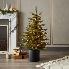 a small christmas tree in a pot next to a fireplace