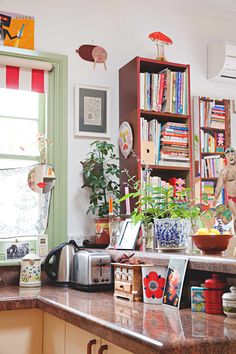 the kitchen counter is cluttered with books, plants and other things on it's shelves