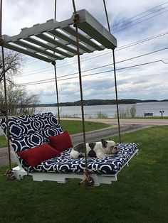 a black and white dog laying on top of a swing bed