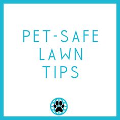 the words pet - safe lawn tips in blue and white with a dog's paw on