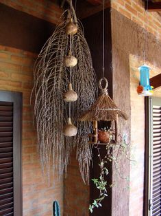 some plants hanging from the side of a building