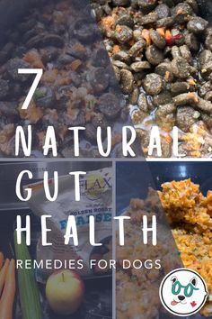 some food that includes meat and vegetables with the words 7 natural gutt health remedies for dogs