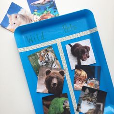 a blue plate with pictures of animals and cats on it