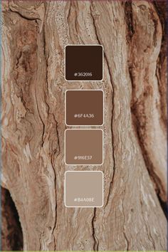 the color scheme for this tree bark is brown, beige, and tan with different shades