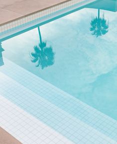 an empty swimming pool with palm trees reflected in it