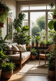 a living room filled with lots of plants and potted plants on the windowsill