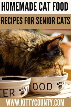 a cat eating out of a bowl with the words homemade cat food recipes for senior cats