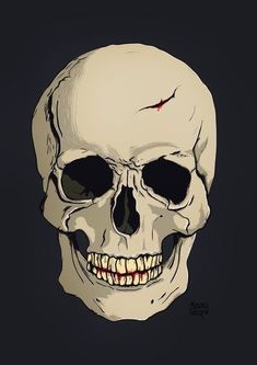 a drawing of a human skull on a black background