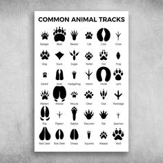 a poster with different animal tracks on it