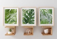 three green leaf prints on wooden shelves with white vases and small plant in the foreground