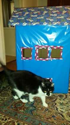 a black and white cat standing in front of a blue doll house on the floor