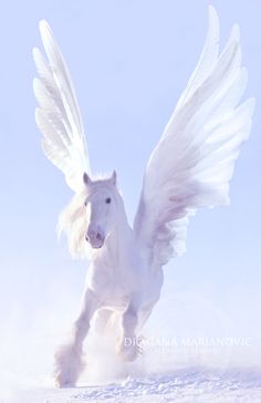 a white horse with wings flying through the air