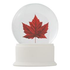 a snow globe with a red maple leaf in it