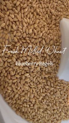 seeds in a white bowl with a scoop full of milk next to it that says fresh milled wheat blueberry bagels