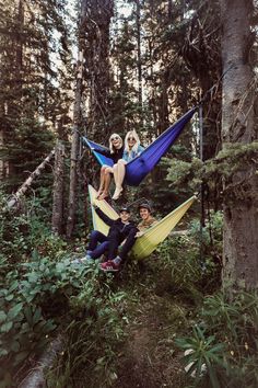 three people are sitting in hammocks in the woods