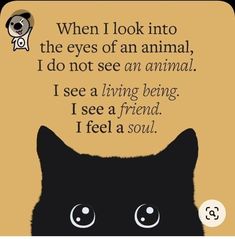 a black cat with the caption when i look into the eyes of an animal, i do not see an animal