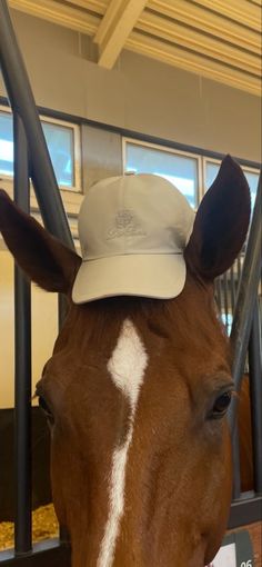 a brown horse with a white hat on it's head