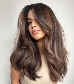 Chocolate Base with Ashy and Warm Bronde Highlights Hottest Haircuts, Subtle Layers, Hair Streaks, Brunette Balayage Hair, Long Brown Hair