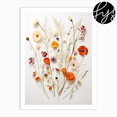 an arrangement of dried flowers on a white background