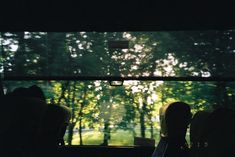 people are sitting on a bus looking out the window at trees and grass in the distance