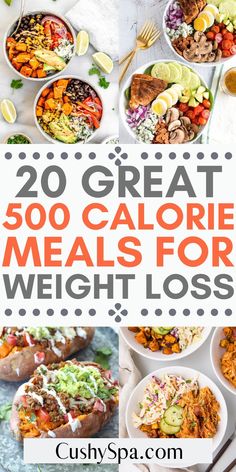 If you are looking for low calorie meals, we provide you the best recipes all under 500 calories. The best nutritious, filling dinners or lunches for your diet. Low Calorie Meals, 500 Calorie Meals, 500 Calorie, Low Calorie Dinners, Calorie Meals, High Protein Low Calorie, Calorie Meal Plan, 500 Calories