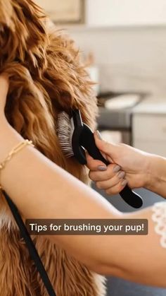 a woman is brushing her dog's fur with a brush