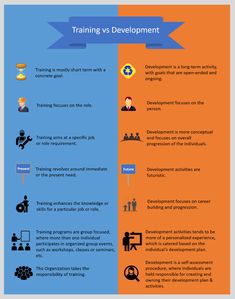 the differences between training and development in an organization infographical poster, with text explaining how to use it