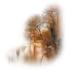 the water is still calm and there are trees in the foreground with no leaves on them