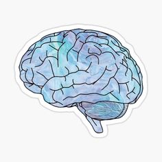 a sticker with a drawing of a human brain