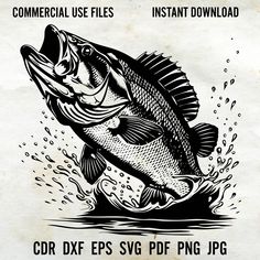 an image of a fish on the water with words underneath it that say commercial use files instant