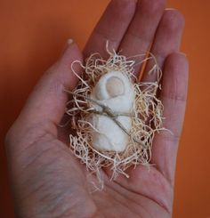 a hand is holding a tiny bird nest