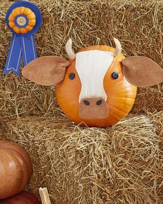 there is a cow head on the hay next to pumpkins and a blue ribbon