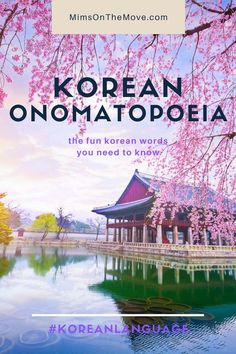 the cover of korean words and phrases book with cherry blossom trees in the foreground