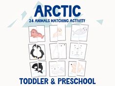 an arctic animal matching activity for toddlers and preschool