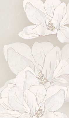 two white flowers on a light gray background