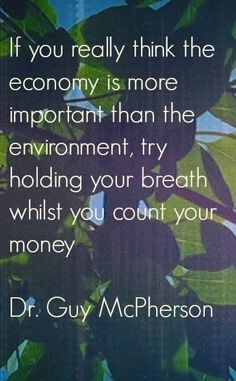 a quote from dr guy mcpherrson on money and the environment is more important than the environment, try holding your breath while you count your money