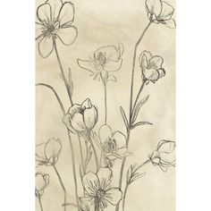 a drawing of some flowers on a piece of paper that is drawn with pencils