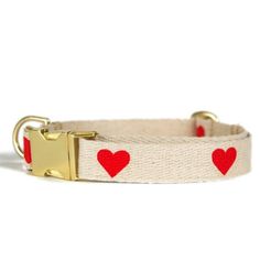 a white collar with red hearts on the front and gold hardware at the bottom,