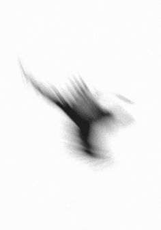 a blurry photo of a bird flying in the sky