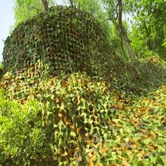 a very large pile of leaves in the middle of some trees and bushes with lots of green foliage covering it