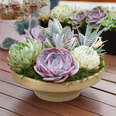 several succulents are arranged in a wooden bowl on a table with other potted plants