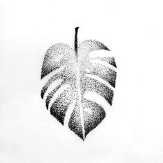 a black and white drawing of a leaf