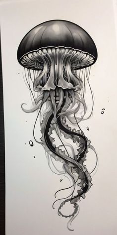 a black and white drawing of a jellyfish on paper with water droplets around it