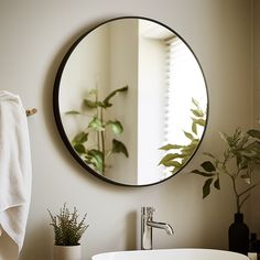 a bathroom with a sink, mirror and potted plant on the counter in front of it