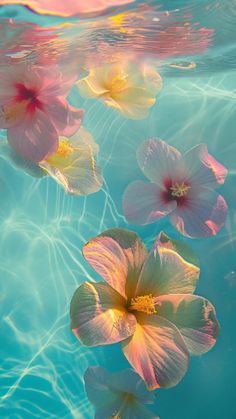 three flowers floating in the water near each other