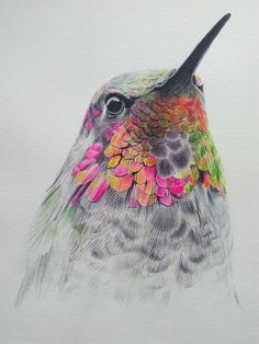 a drawing of a hummingbird with colorful feathers